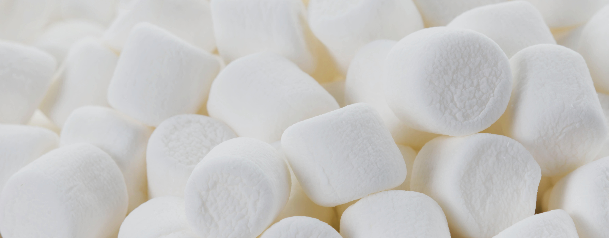 Close-up of white marshmallows