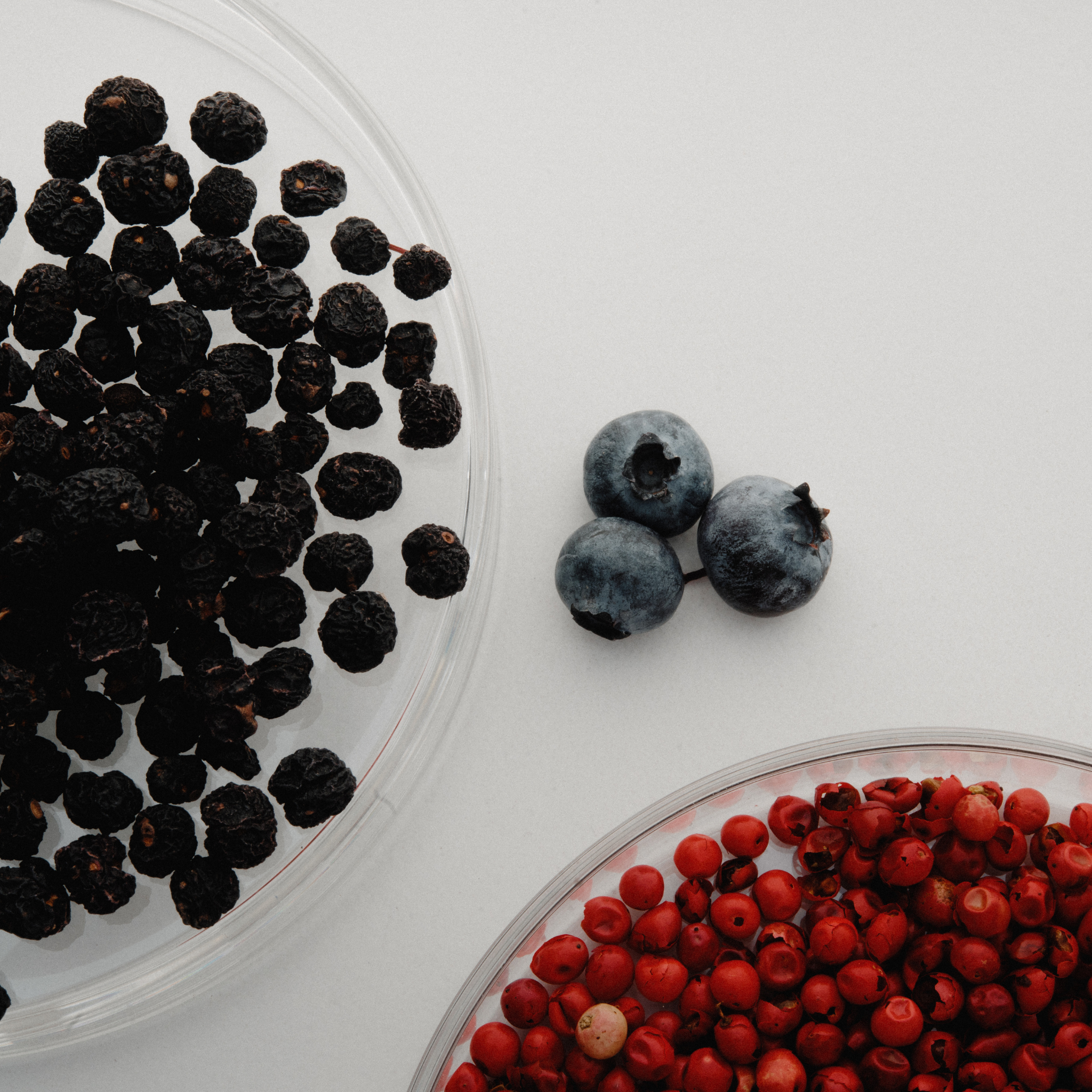 Three bowls containing blackberries, blueberries, and red berries on a white background