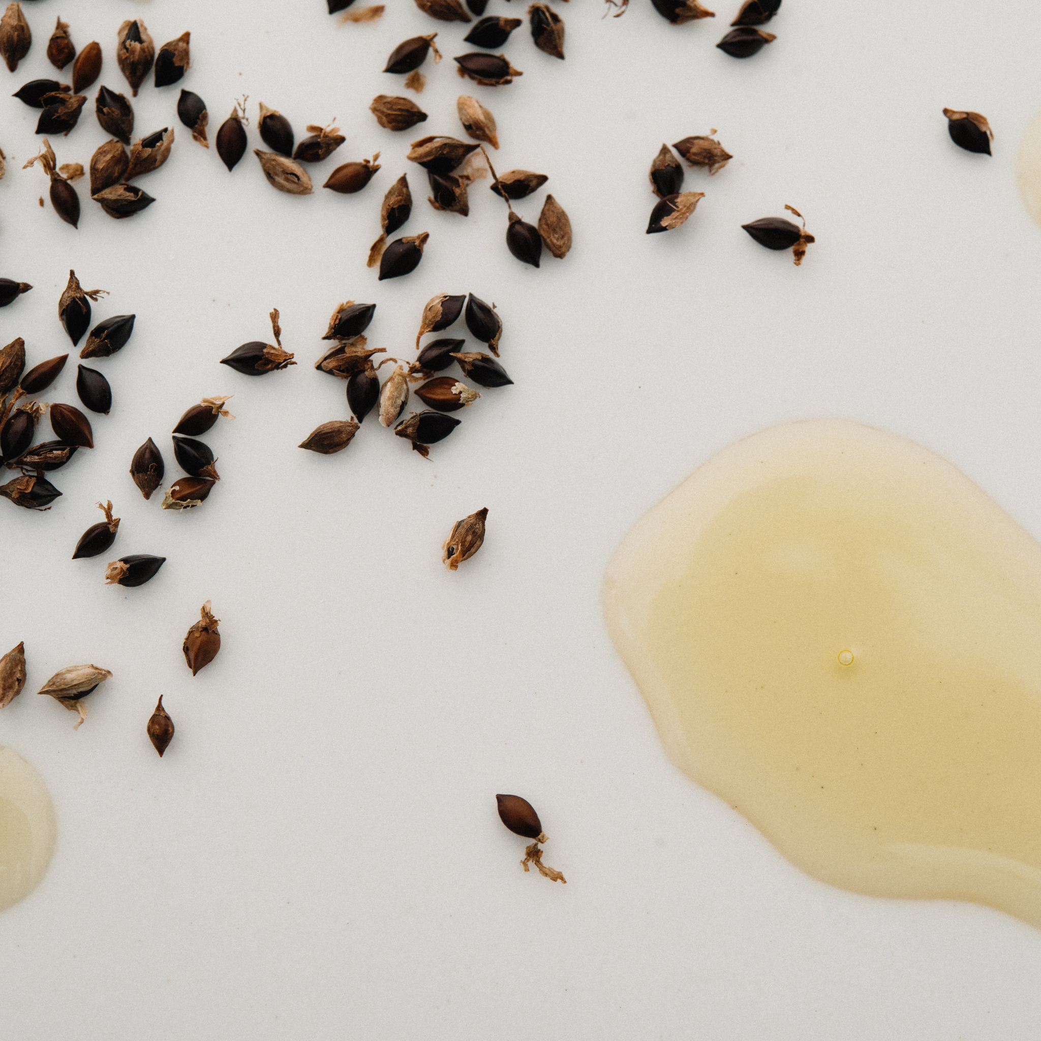 Moringa Oil, Rosemary Leaf Extract &amp; Japanase Indigo